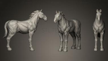 3D model War Horse (STL)